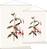 Bellenplant (Fuchsia White) - Foto op Textielposter - 40 x 60 cm