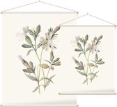 Avondkoekoeksbloem (White Campion) - Foto op Textielposter - 45 x 60 cm