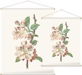 Clematis Armandii (Apple Blossom) - Foto op Textielposter - 45 x 60 cm