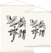 Hondsroos zwart-wit (Dog Rose) - Foto op Textielposter - 40 x 60 cm