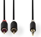 Nedis CABP22200AT10 Stereo Audiokabel 3,5 Mm Male - 2x Rca Male 1,0 M Antraciet