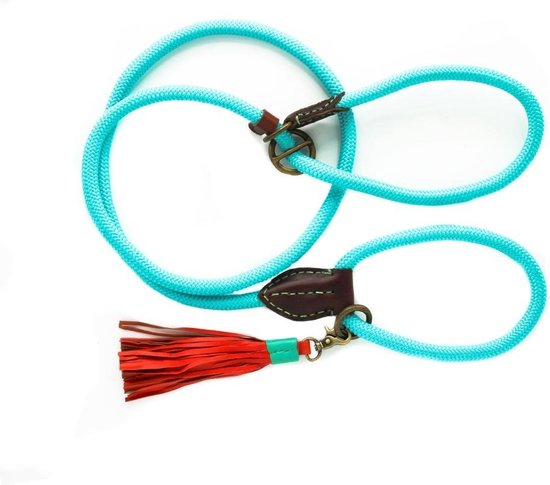 Dwam - Long John Turquoise - sliplead - Hond - Riem