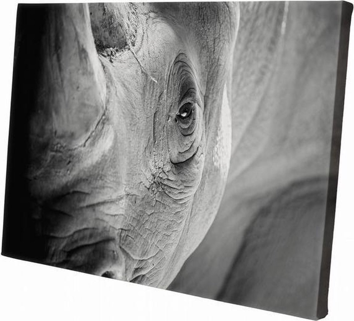 Neushoorn close-up | 90 x 60 CM | Wanddecoratie | Dieren op canvas |Schilderij | Canvasdoek | Schilderij op canvas
