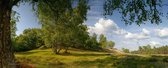 Fotobehang heide op de Veluwe 350 x 260 cm - € 235,--