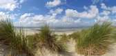 Fotobehang duinen en strand Ameland 250 x 260 cm - € 175,--