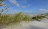 Fotobehang duinen en strand Schiermonnikoog 350 x 260 cm - € 235,--