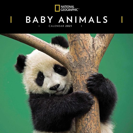 Baby Animals National Geographic Kalender 21 Bol Com