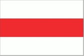 Vlag Belarus 70x100cm