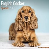 English Cocker Spaniels Kalender 2021