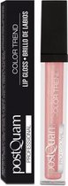 PostQuam PQMKGL06 lipgloss