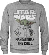 Star Wars Sweater/trui -M- The Mandalorian - Mandalorian Child Grijs
