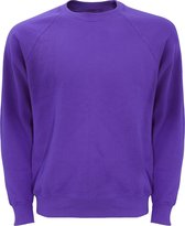 Sweatshirt Belcoro® Fruit Of The Loom à manches raglan pour hommes (Violet)