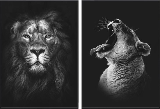 Zwart/wit posters - Dieren - 2 stuks - 50x70 cm - Leeuw & Leeuwin