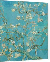 Amandelbloesem, Vincent van Gogh - Foto op Plexiglas - 60 x 60 cm
