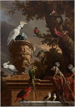 De menagerie, Melchior d'Hondecoeter - Foto op Forex - 120 x 160 cm