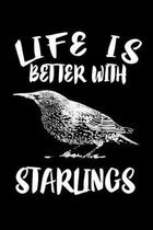 Life Is Better With Starlings: Animal Nature Collection