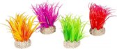 Auqa Della Plant hair grass Gemengde kleuren S - height 6cm, PER STUK !! GEEN KEUZE MOGELIJK !