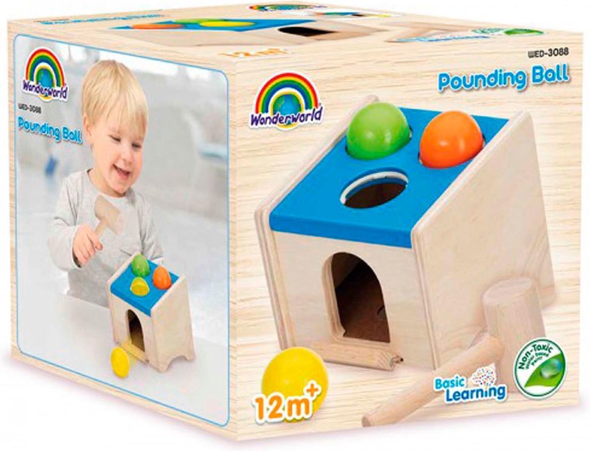 Wonderworld ballenstoof/hamerspel WED-3088 Kind Jongen/meisje educatief speelgoed