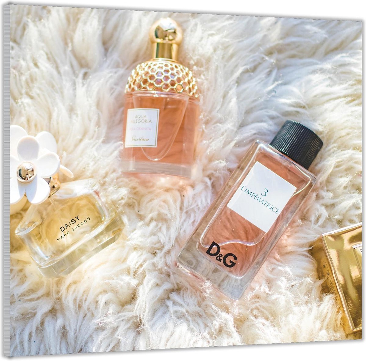 vertalen hoe Schurend Plexiglas –Verschillende merken Parfum op Kleedje-50x50 (Met ophang) |  bol.com