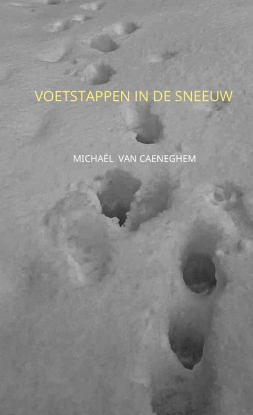 Voetstappen in de sneeuw, Michaël van Caeneghem 9789464051179 Boeken