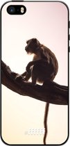 iPhone 5 Hoesje TPU Case - Macaque #ffffff