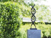 Bronzen Beeld:  DNA sculptuur