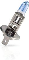 Philips White Vision H1 12V