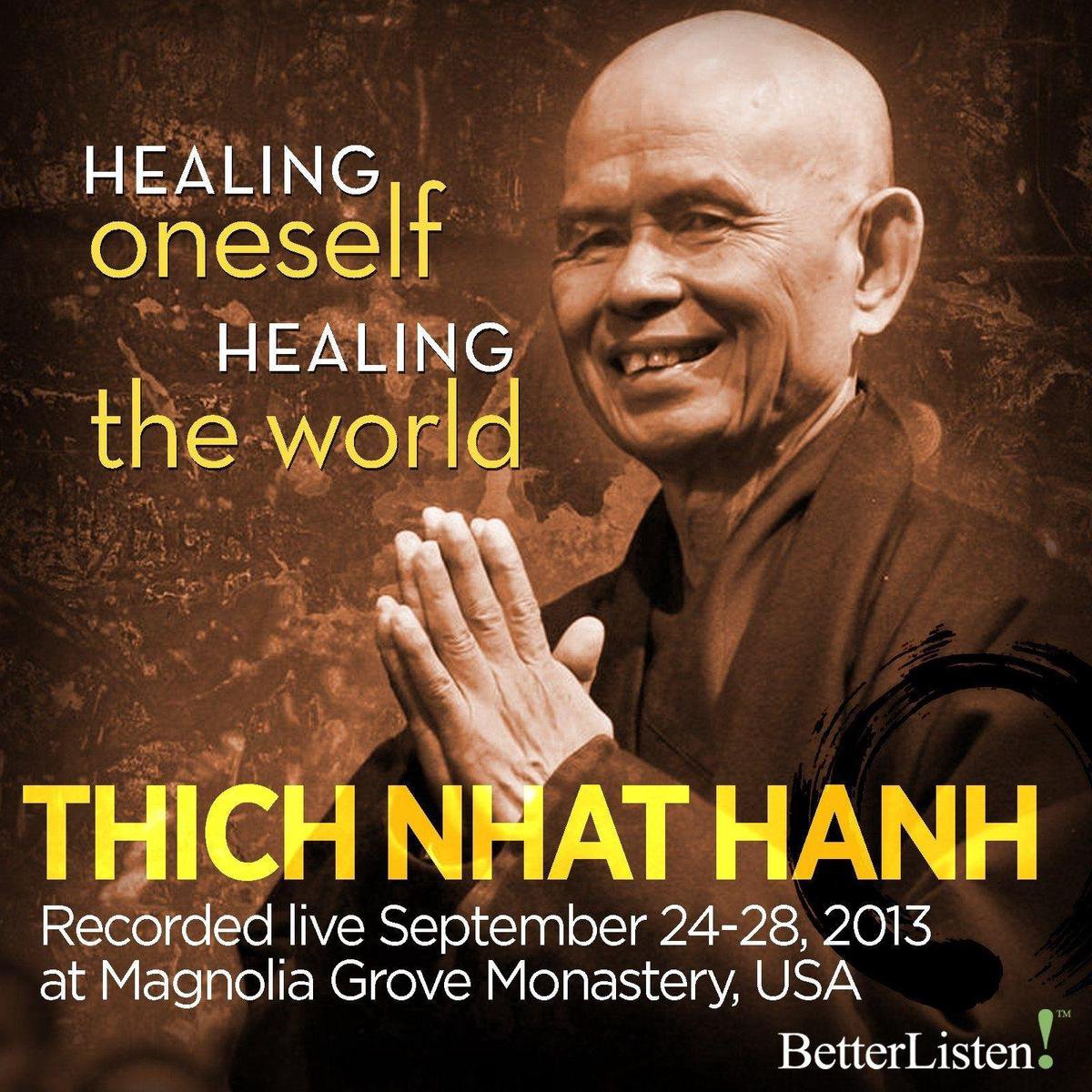 Omslag van Healing Oneself, Healing the World