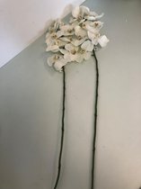 kunstplanten (wit) - set van 2 stuks (bloem)