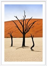 Poster Met Witte Lijst - Deadvlei Bomen Poster