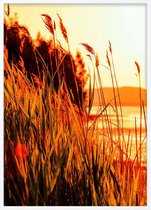 Poster Met Witte Lijst - Meer Planten Poster