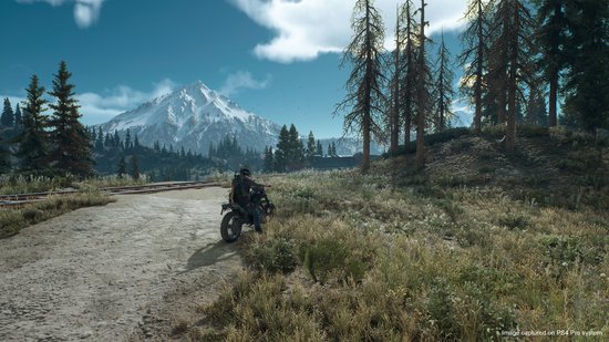 Days Gone - PS4