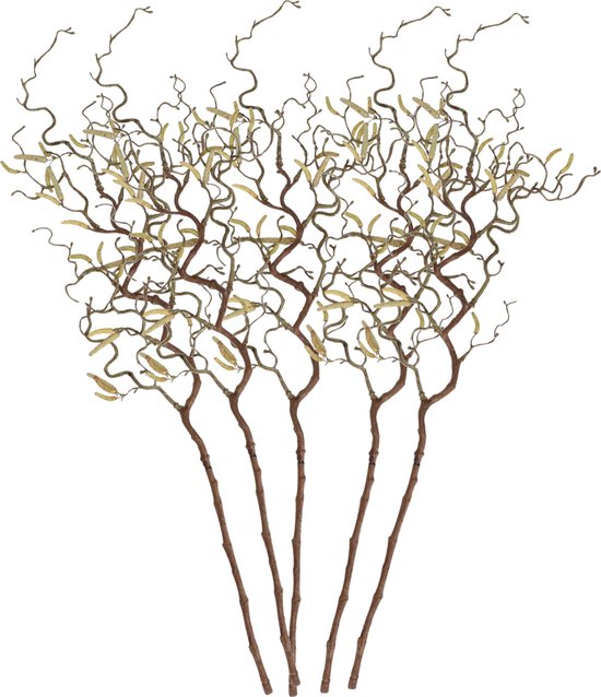 5x Branche de Pâques noisette squiggle marron 66 cm - Branches de Pâques