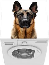 Wasmachine beschermer mat - Duitse Herdershond met witte achtergrond - Breedte 60 cm x hoogte 60 cm