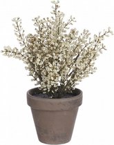 kunstplant Astilbe 21 cm keramiek crÃ¨me