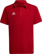 adidas - Entrada 22 Polo Youth - Rode Polo-128