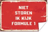 Poster Niet storen ik kijk Formule 1 - Quotes - Spreuken - Racen - 30x20 cm - Vaderdag cadeau - Geschenk - Cadeautje voor hem - Tip - Mannen