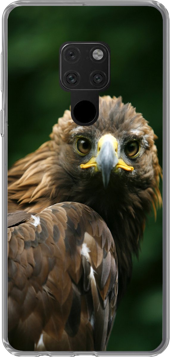 Telefoonhoesje Geschikt voor Huawei P40 Lite hoesje - Arend - Bruin - Roofvogel - Siliconen Telefoonhoesje Telefoonhoesje