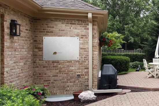 Affiche de jardin Souris devant un fond blanc toile en vrac 90x60 cm - Toile de jardin / Toile d'extérieur / Peintures d'extérieur (décoration de jardin)