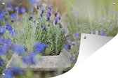 Muurdecoratie Close-up van lavendel in een tuin - 180x120 cm - Tuinposter - Tuindoek - Buitenposter