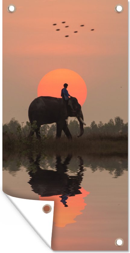 Een olifant bij een rijstveld in Thailand tijdens een zonsondergang