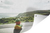 Canard de bain écossais dans une voiture affiche de jardin toile lâche