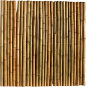 Bamboescherm 200 x 180 cm - Naturel -  Extra | 200 x 180 cm