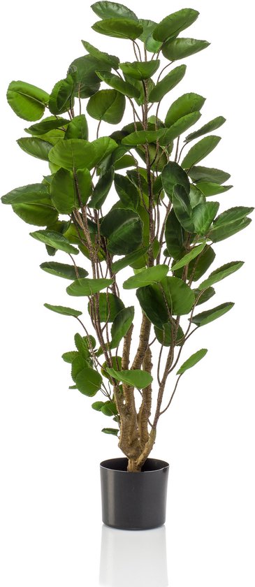 Emerald - Kunstboom Polyscias 105cm - Kunstplanten voor binnen