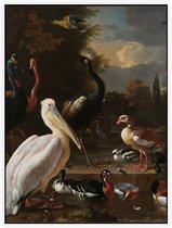 Het drijvend veertje, Melchior de Hondecoeter - Foto op Akoestisch paneel - 150 x 200 cm