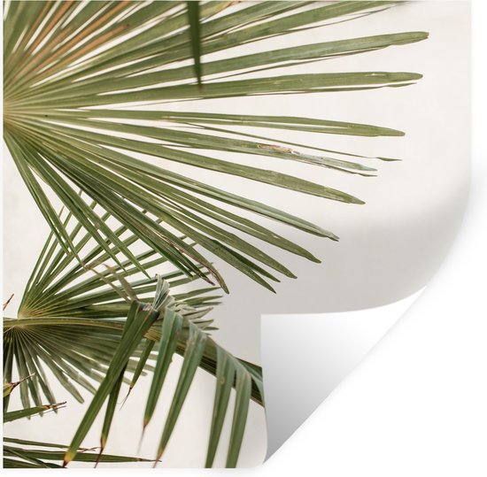 Sticker feuilles de palmier – STICKERS NATURE - Stickers Feuilles