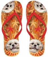 teenslippers Shih Tzu rubber bruin/rood maat 40-42