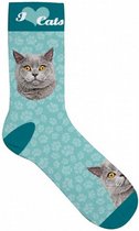 sokken Kat polyester blauw maat 37-42