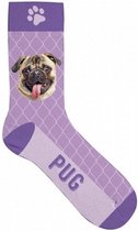 sokken Pug polyester paars maat 31-36