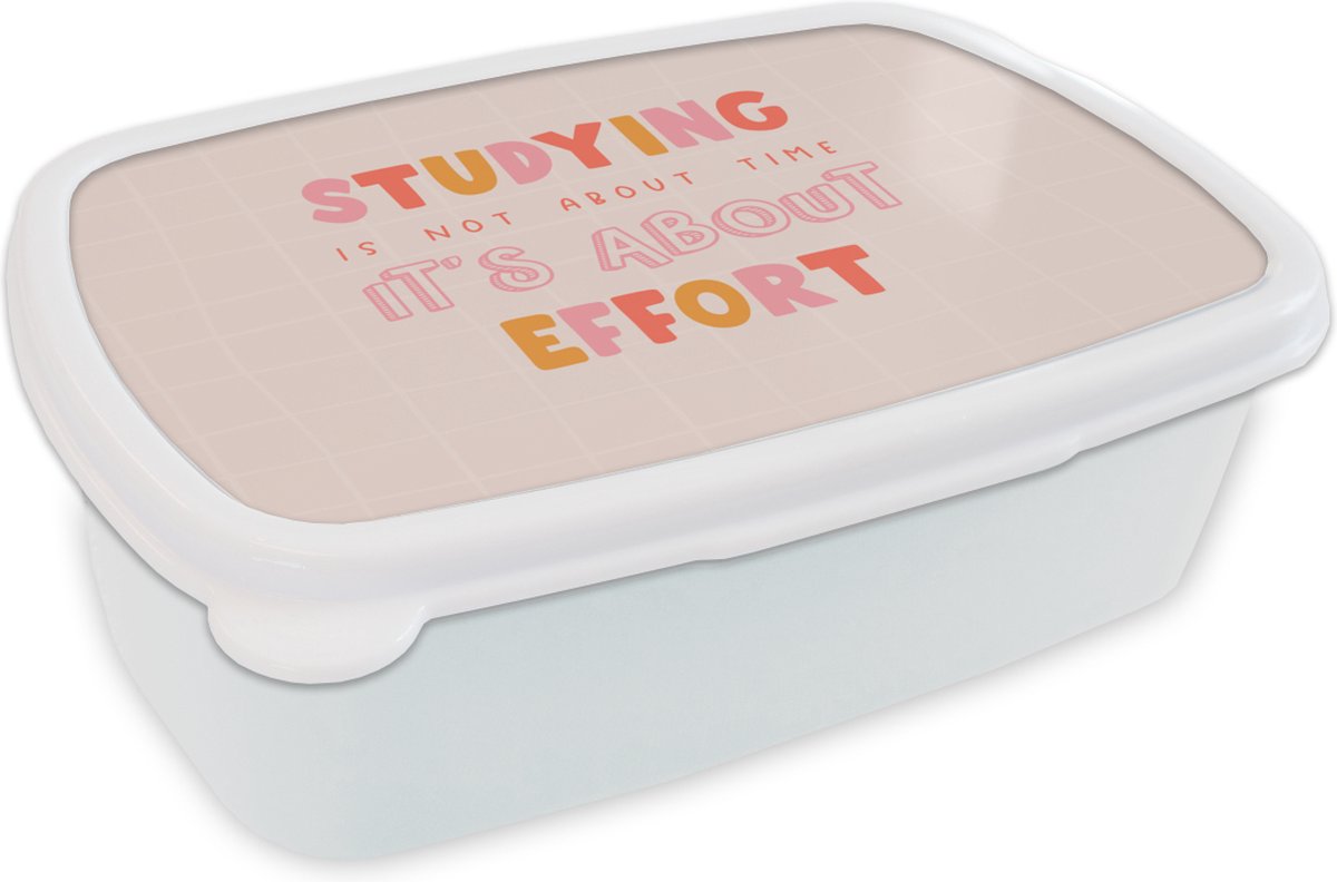 Broodtrommel Wit - Lunchbox - Brooddoos - Studeren - Quote - Motivatie - 18x12x6 cm - Volwassenen